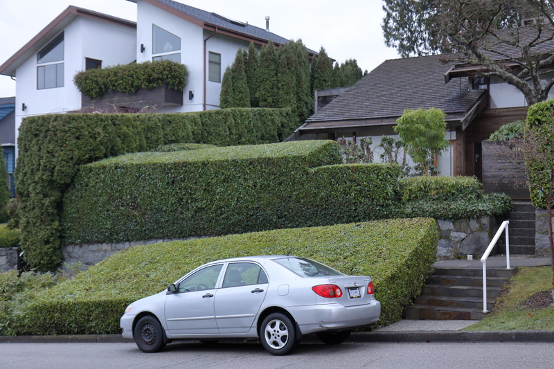 These houses are right on top of Arbutus Ridge, hence the quite extreme slopes and many properties designed to take in the views